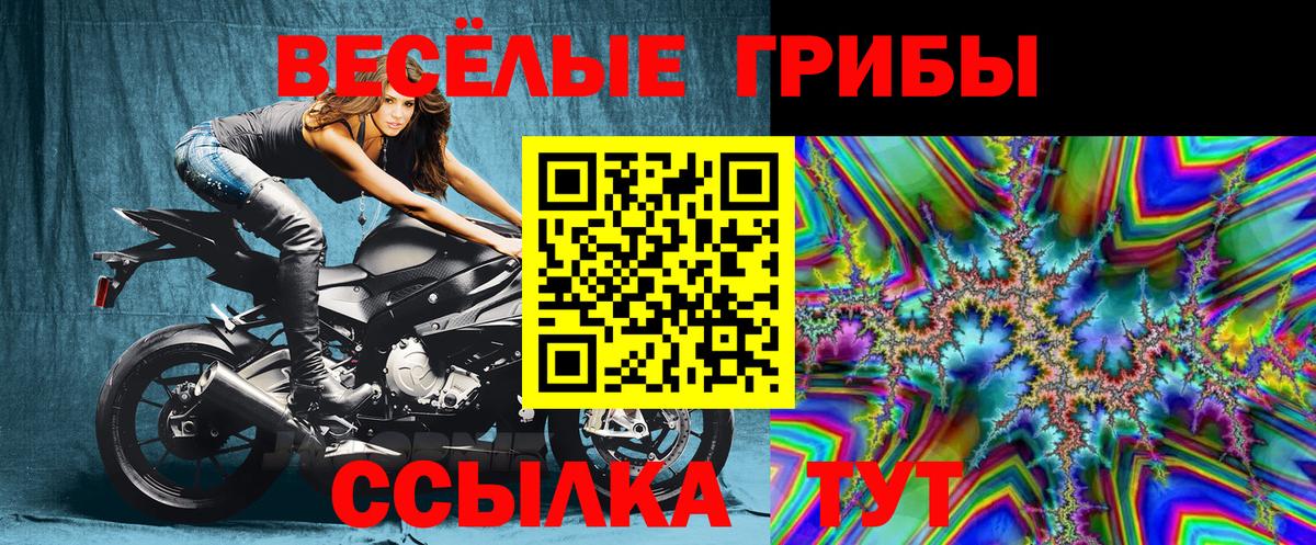 Дятьково  закладки  Вход с VPN  Галлюциногенные грибы Magic Shrooms 