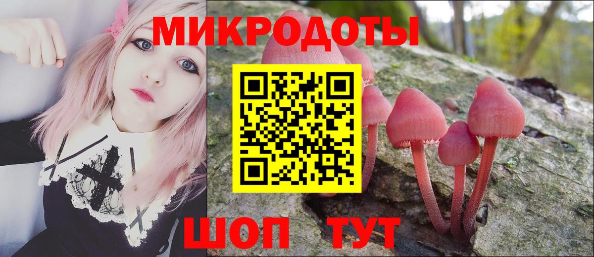 Галлюциногенные грибы MAGIC MUSHROOMS Дятьково